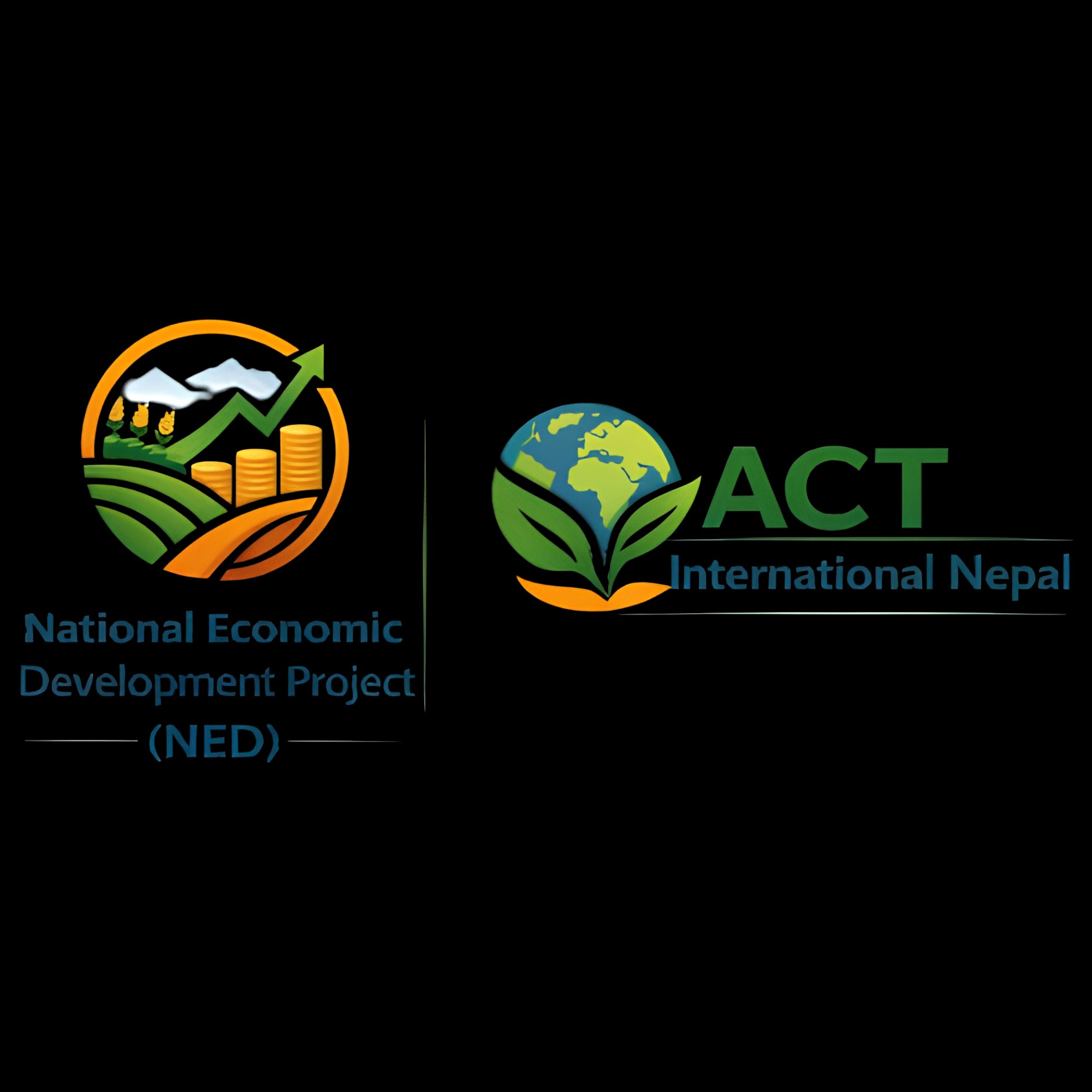 National Economic Development Project (NEDP)
